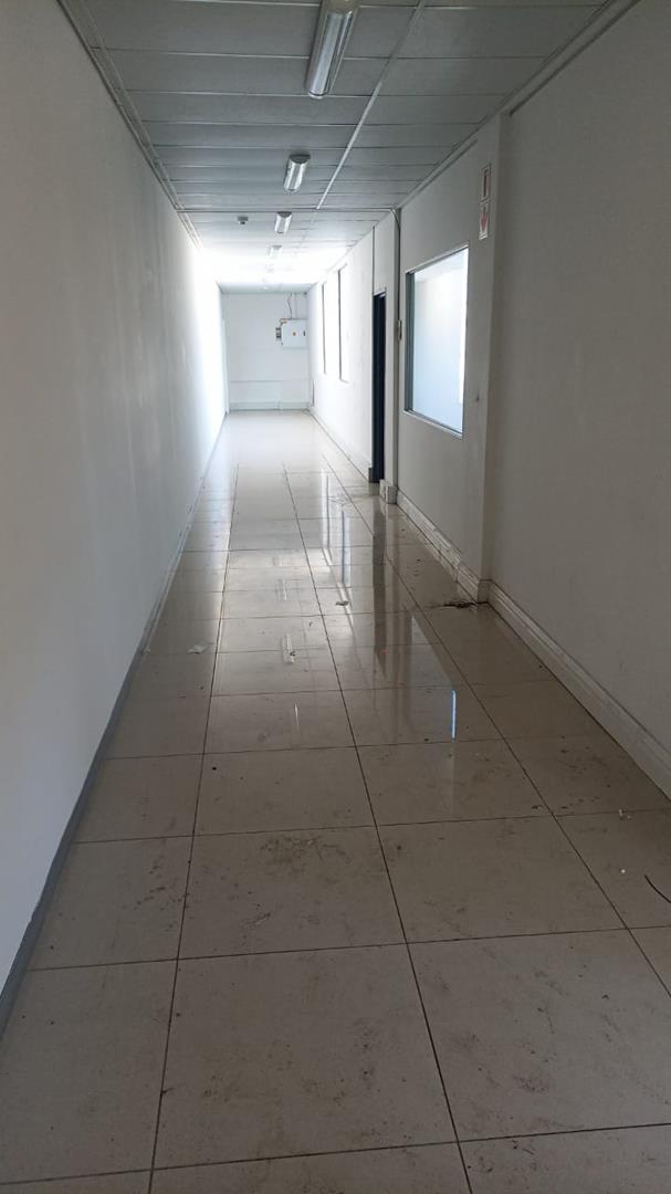 To Let commercial Property for Rent in Rondebosch Western Cape